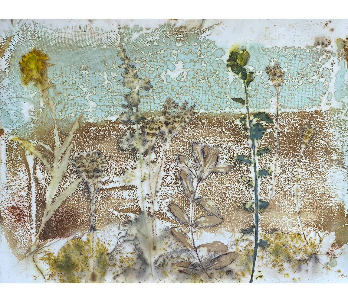 Meadow - Randi Parkhurst
